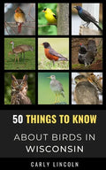 50 Things to Know About Birds in Wisconsin: Birding in the Badger State - Paperback