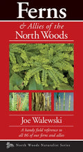 Ferns & Allies of the North Woods: A Handy Field Reference to All 86 of Our Ferns and Allies - Paperback