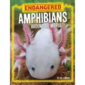 Endangered Amphibians Around the World - Hardcover