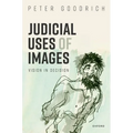 Judicial Uses of Images: Vision in Decision - Hardcover