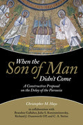 When the Son of Man Didn't Come - Paperback
