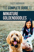 The Complete Guide to Miniature Goldendoodles: Learn Everything about Finding, Training, Feeding, Socializing, Housebreaking, and Loving Your New Mini - Paperback