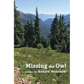 Missing the Owl - Paperback