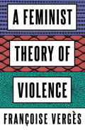 A Feminist Theory of Violence: A Decolonial Perspective - Paperback