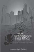 From Park Avenue to Park Bench: The Downward Spiral through the Chasm of Addiction - Paperback