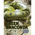 Green Anaconda - Library Binding
