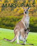 Marsupials: Amazing Pictures & Fun Facts of Animals in Nature - Paperback