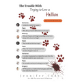 The Trouble with Trying to Love a Hellion - Paperback