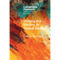 Writing the History of Global Slavery - Hardcover