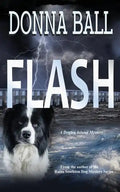 Flash - Paperback