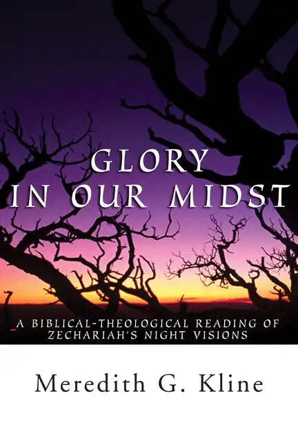 Glory in Our Midst: A Biblical-Theological Reading of Zechariah's Night Visions - Paperback
