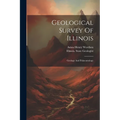 Geological Survey Of Illinois: Geology And Palaeontology - Paperback