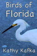 Birds of Florida - Paperback