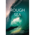 Rough Sea: poems - Paperback