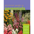Pictorial Guide to Perennials - Paperback