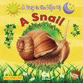 A Snail - Library Binding