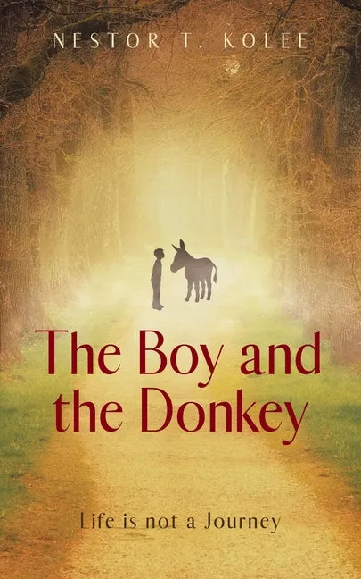 The Boy and the Donkey: Life is not a Journey - Paperback
