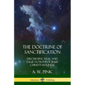 The Doctrine of Sanctification: Discerning real and false notions of Jesus Christ's Holiness - Paperback