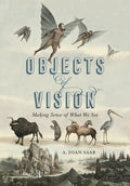 Objects of Vision: Making Sense of What We See - Hardcover