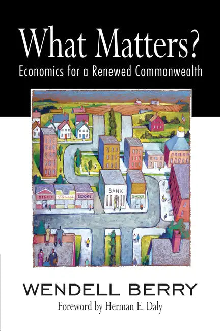 What Matters?: Economics for a Renewed Commonwealth - Paperback