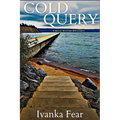 Cold Query: A Blue Water Mystery - Paperback