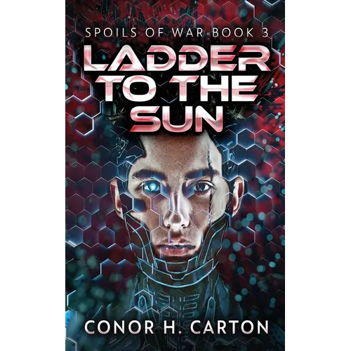 Ladder To The Sun - Paperback