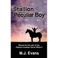 The Stallion and His Peculiar Boy - Paperback