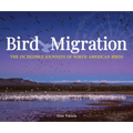 Bird Migration: The Incredible Journeys of North American Birds - Paperback