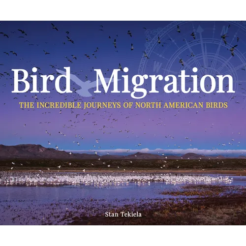 Bird Migration: The Incredible Journeys of North American Birds - Paperback