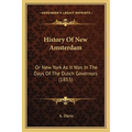 History Of New Amsterdam: Or New York As It Was In The Days Of The Dutch Governors (1853) - Paperback