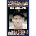 Ted Williams: A Biography - Hardcover