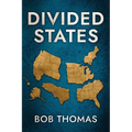 Divided States - Paperback