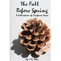 The Fall Before Spring - Paperback