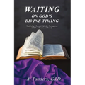 Waiting on God's Divine Timing: A Beautiful Life After Healing from Childhood Trauma - Paperback