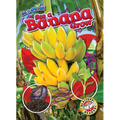 See a Banana Grow - Library Binding