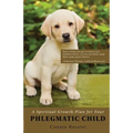 A Spiritual Growth Plan for Your Phlegmatic Child - Paperback