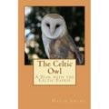 The Celtic Owl: A Year with the Celtic Faerie - Paperback