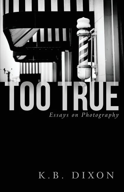 Too True: Essays on Photography - Paperback