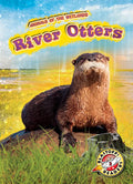 River Otters - Library Binding