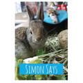 Simon Says - Paperback