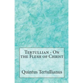 On the Flesh of Christ - Paperback