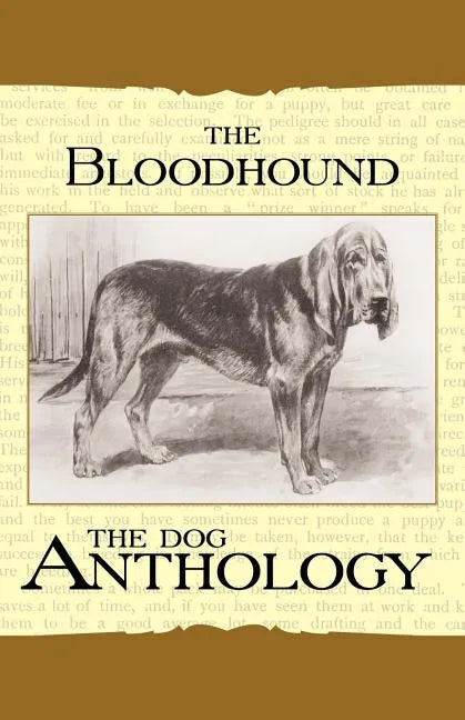 The Bloodhound - A Dog Anthology (A Vintage Dog Books Breed Classic) - Paperback