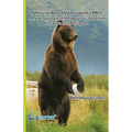 Artificial Bear Optimization (ABO): A New Approach of Metaheuristic Algorithm for Business Intelligence - Paperback