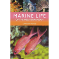 Marine Life of the Mediterranean - Paperback