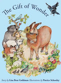 The Gift of Wonder - Hardcover