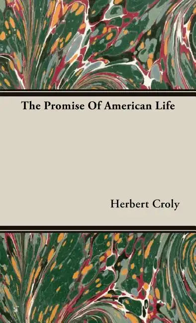 The Promise Of American Life - Hardcover