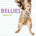Bellies - Board Book
