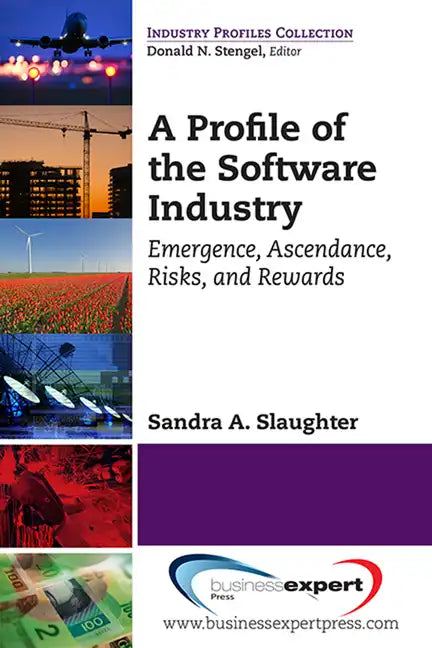 A Profile of the Software Industry: Emergence, Ascendance, Risks, and Rewards - Paperback