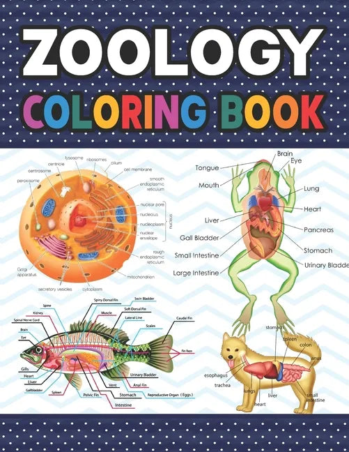 Zoology Coloring Book: Collection of Simple Illustrations of Zoology. The New Surprising Magnificent Learning Structure For Veterinary Anatom - Paperback