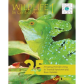 Wildlife In Central America 1: 25 Amazing Animals Living in Tropical Rainforest and River Habitats - Paperback